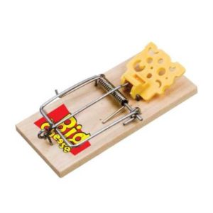 STV Baited RTU Mouse Trap