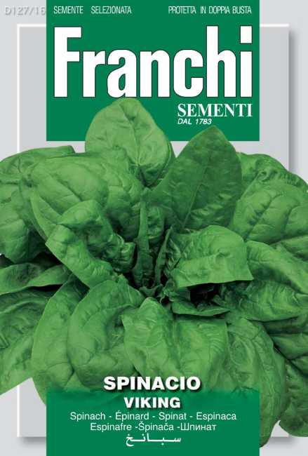 Spinach seed