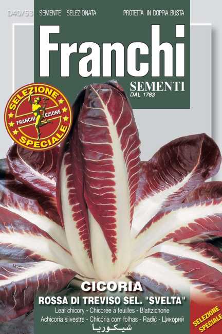 Franchi cicoria seeds