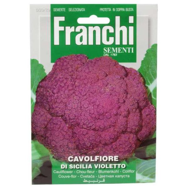 Franchi Purple Cauliflower