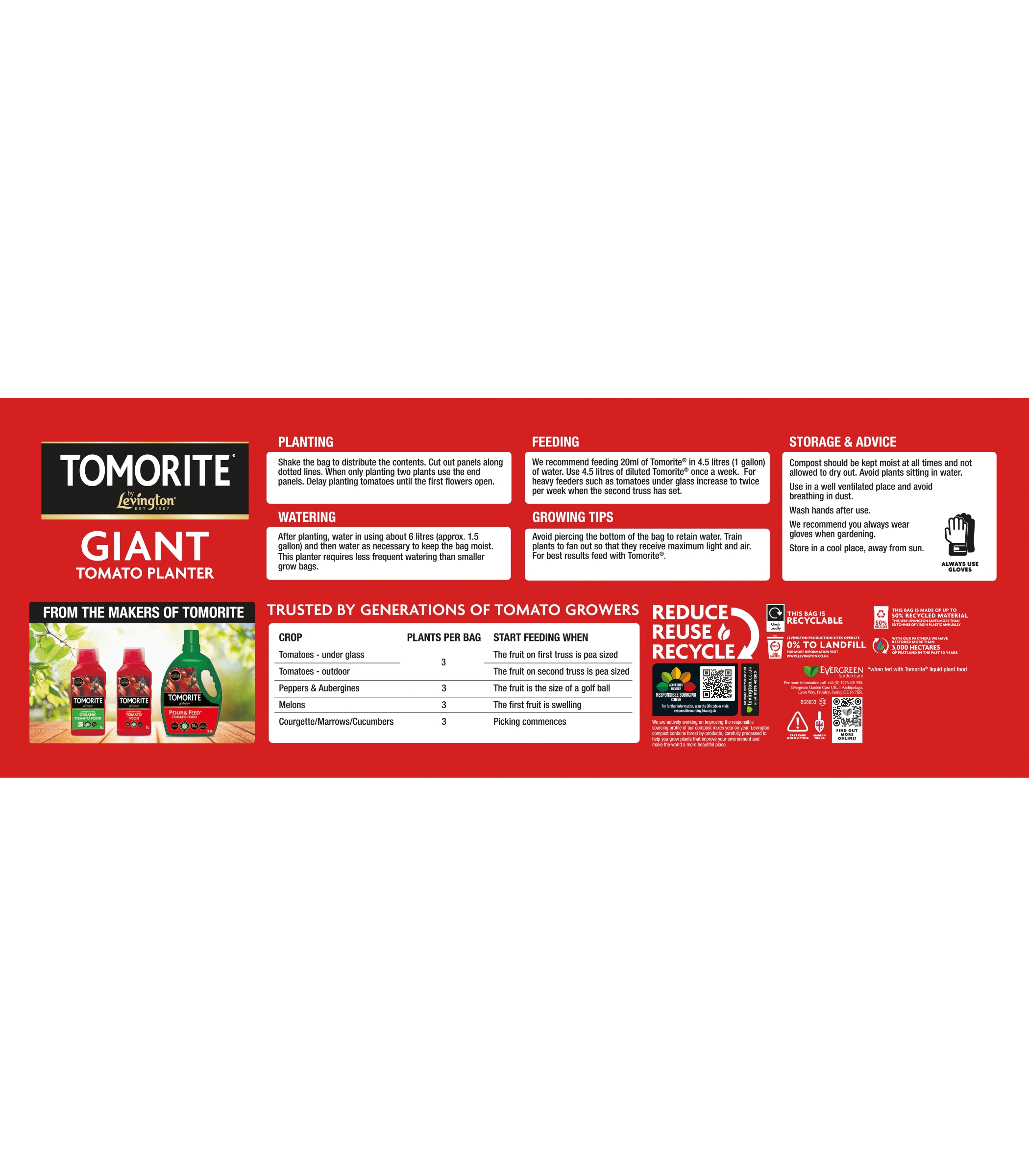Levington Tomorite Giant Tomato Planter