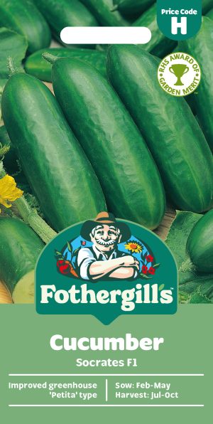 Mr Fothergill's CUCUMBER Socrates F1