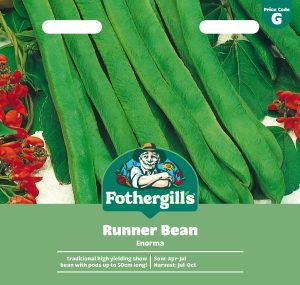 Mr Fothergill's RUNNER BEAN Enorma